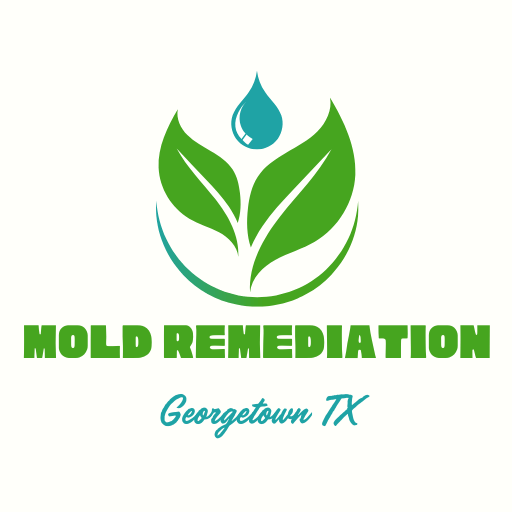 Mold Remediation Georgetown